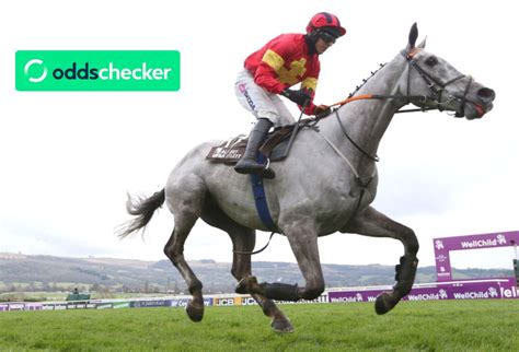 ladbrokes grand national betting odds|Latest Grand National Movers – Vanillier joins the market.